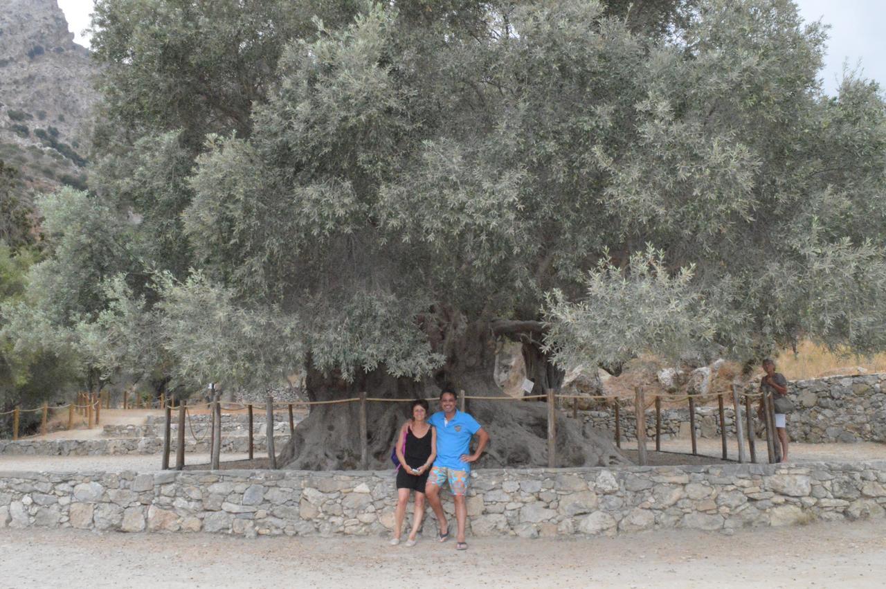 Tholos Rooms Καβούσι Εξωτερικό φωτογραφία